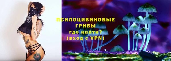 СК Кукмор