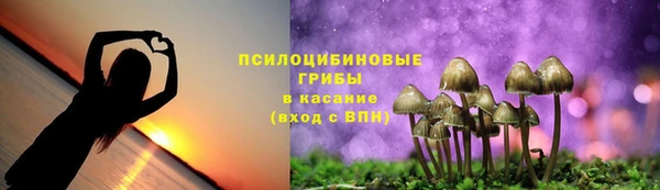 МДПВ Ладушкин