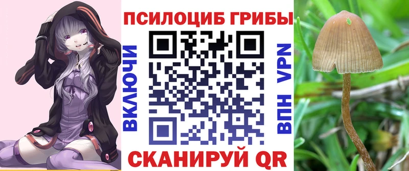 цены MEGA вход Галлюциногенные грибы Cubensis Ростов